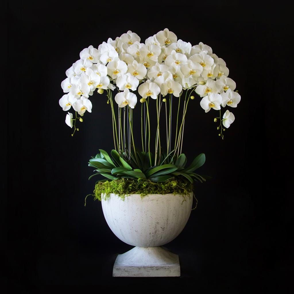 Luxe witte orchideeën